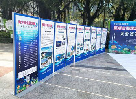 竹山KT板的种类和知识。